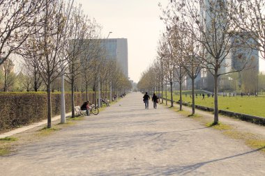 Ağaç avenue Şehir Parkı'nda Kuzey İtalya