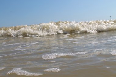 Bir dalga yakın çekim 