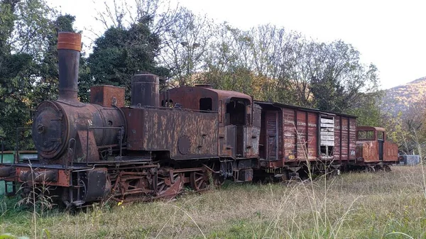 フィールドに放棄された古い錆びた列車機関車は — ストック写真