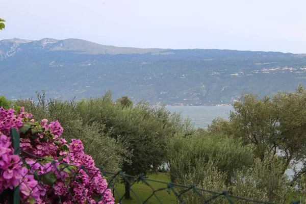 Landschap Van Garda Meer Noord Italië — Stockfoto