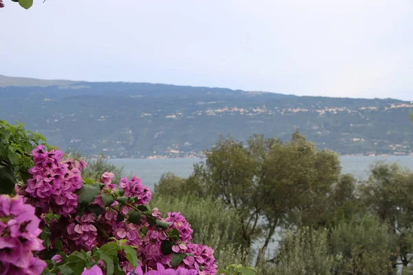 Kuzey İtalya 'daki Garda Gölü manzarası