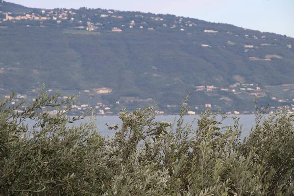 Paisaje Del Lago Garda Norte Italia — Foto de Stock