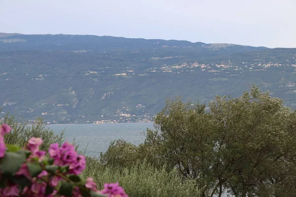 Naturskön Utsikt Över Gardasjön Norra Italien — Stockfoto