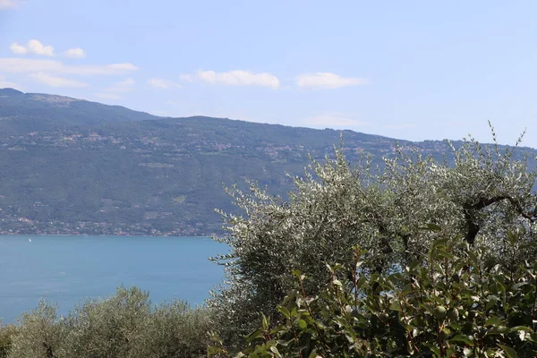 Landschappelijk Uitzicht Het Gardameer Noord Italië — Stockfoto