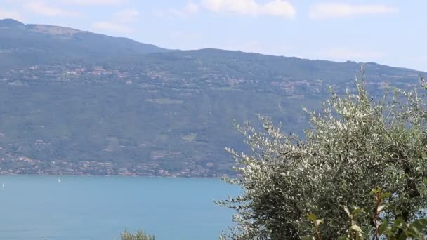 Vista Panorâmica Lago Garda Norte Itália — Vídeo de Stock