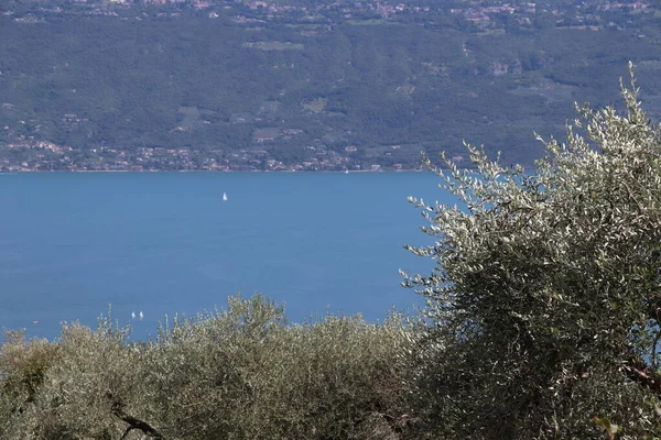 Gardasjön Italien Blått Vatten Vita Moln Berg Dis Begreppet Semester — Stockfoto