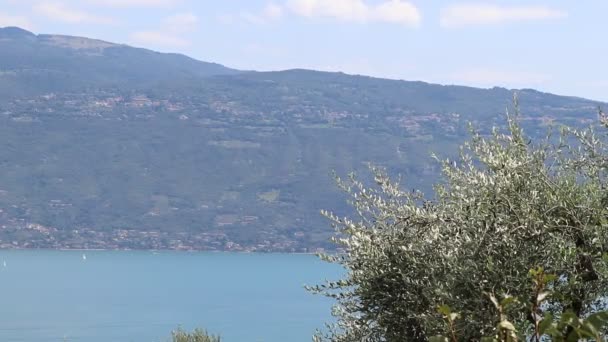 Lago Garda Itália Água Azul Nuvens Brancas Montanhas Neblina Conceito — Vídeo de Stock