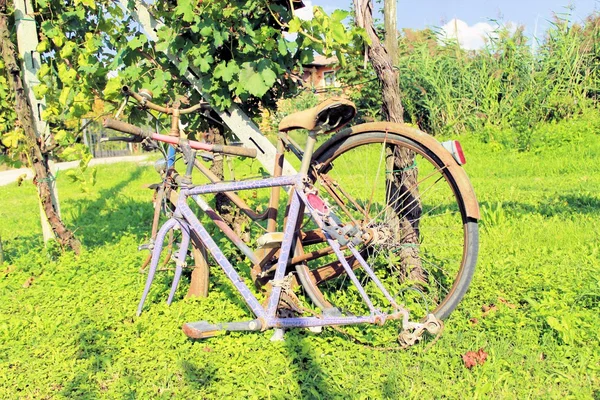 Fahrrad — Stockfoto