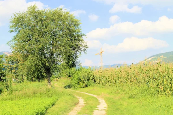 Kırsal alan — Stok fotoğraf