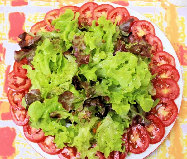 Salad — Stok Foto