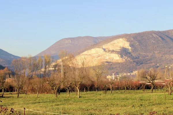 Landschap — Stockfoto