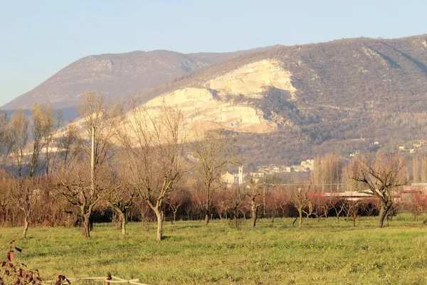 Paesaggio — Foto Stock