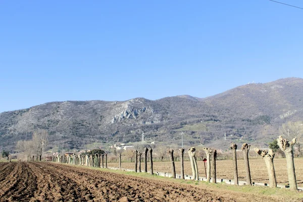 Platteland — Stockfoto