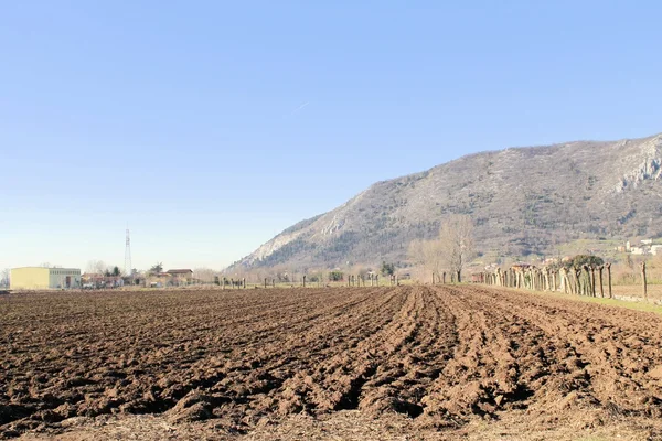 Fields — Stock Photo, Image