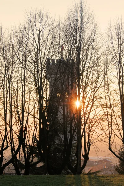 Tower — Stock Photo, Image