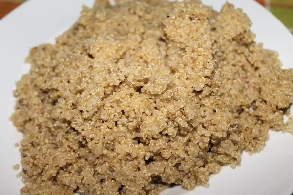 Quinoa — Stock fotografie