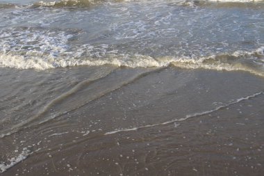 Sahildeki deniz dalgaları