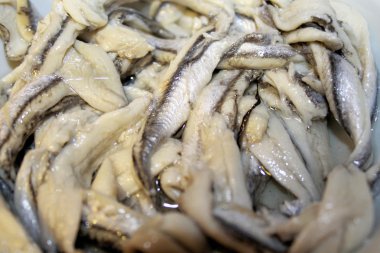 Marine edilmiş hamsi filetosu