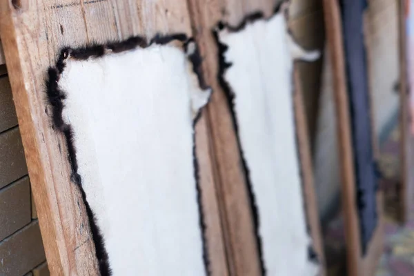 Esnemiş tilki derileri. güncel deri örneği. Tilki ve kutup tilkisi kürkü ahşap bir tahtanın üzerindeki giysiler için. Doğal tilki kürkü 