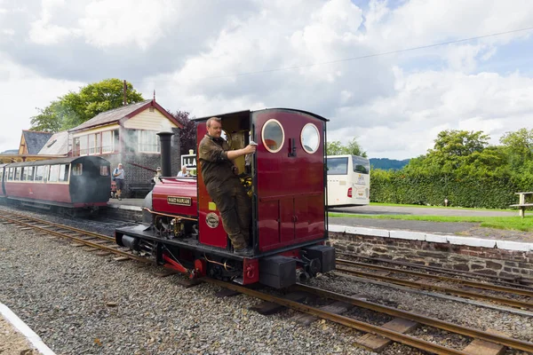 Femme Ménage Marian Bala Lake Railway Machine Vapeur Voie Étroite — Photo