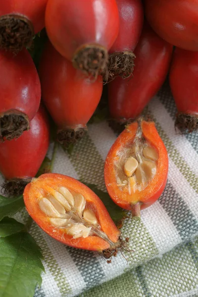 Rose Hips Znany Również Jako Róża Haw Owoc Róża Psa — Zdjęcie stockowe