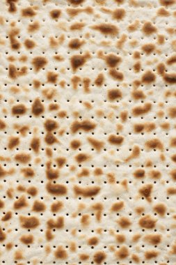 Matzah Cracker clipart