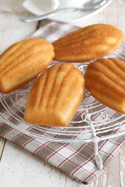 Madeleines — Stock Photo, Image