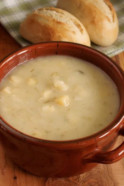 Zuppa di porri e patate — Foto Stock