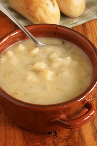 Zuppa di porri e patate — Foto Stock