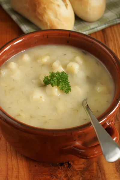 Zuppa di porri e patate — Foto Stock