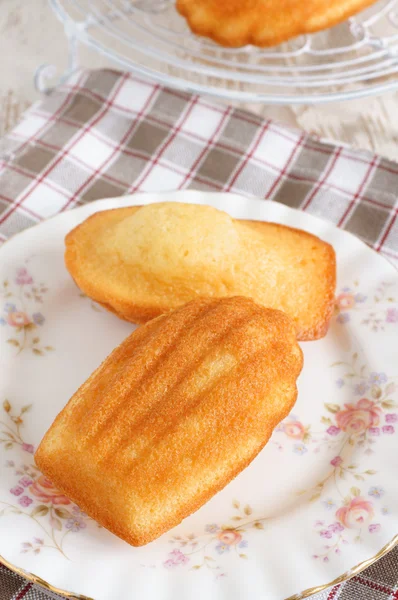 Madeleines — Stock Photo, Image