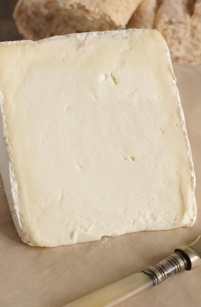 Vignotte 奶酪 — 图库照片