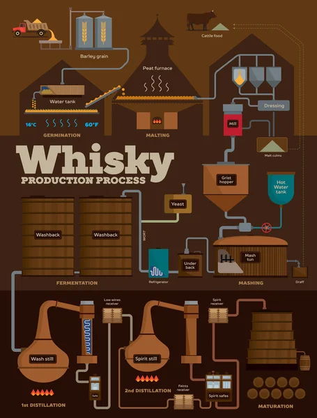 Whisky palírny výrobní proces infografika — Stockový vektor