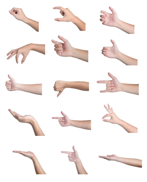 Set of hand showing different signs 16 action isolated Royalty Free Stock Photos