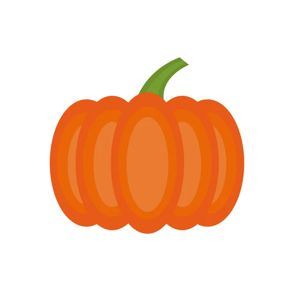 Pumkin vector — Stock Vector