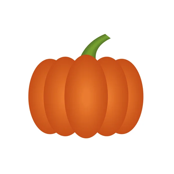 Pumkin vector — Stock Vector