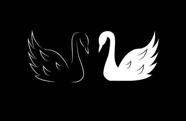 Cisnes blancos y negros — Vector de stock