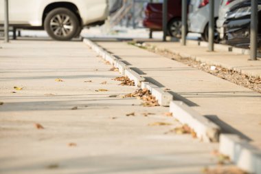 Otoparktaki park çizgilerinin seçici odak noktası