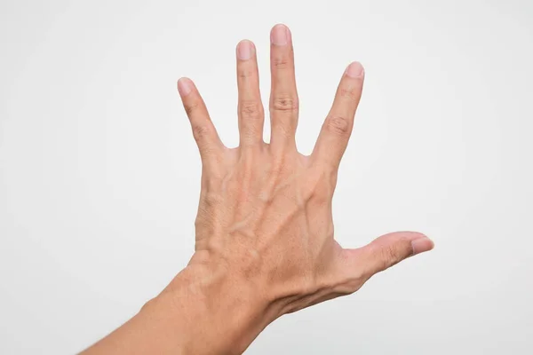 Veins Hands White Background Health Care Concept — Stock Photo, Image