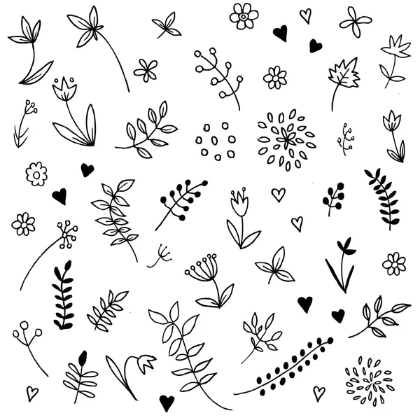 Eléments floraux vintage dessinés main . — Image vectorielle