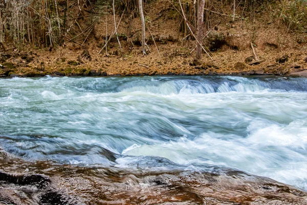 Eau Vive Provenant Des Rapides Fluviaux Qui Traversent Les Bois — Photo