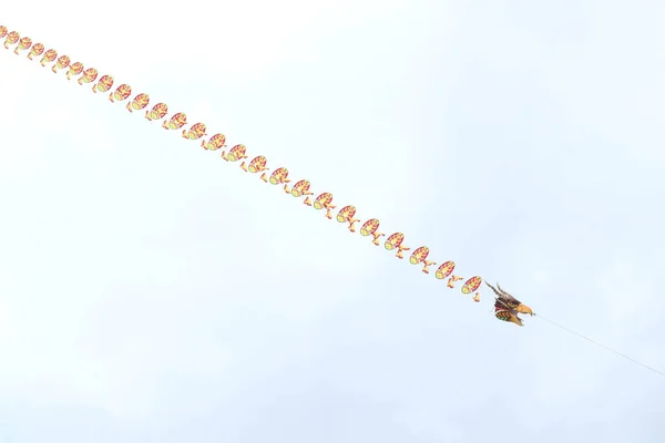 A giant kite in the shape of a dragon was flying