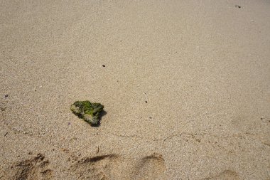 Kumlu sahilde denizin yumuşak dalgası