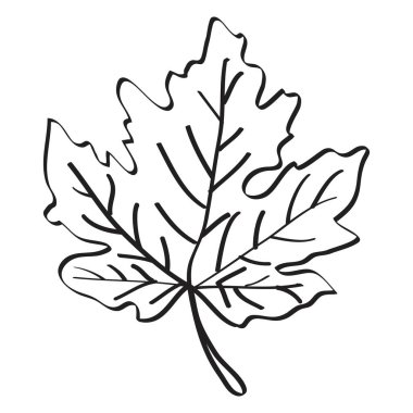 Vektör ağaç yapraklarının el çizimi. Modern tek çizgi sanatı, estetik konsept. Posterler, duvar resimleri, çanta ya da tişört baskısı, çıkartma, mobil çanta gibi ev dekorasyonu için mükemmel