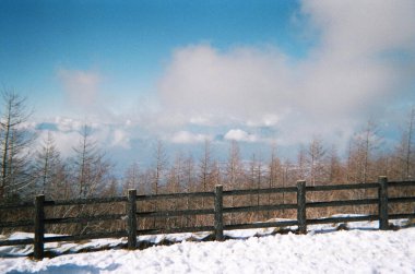 Çitin arkasındaki ağaçlar, Fuji Dağı 'nın tepesinde..