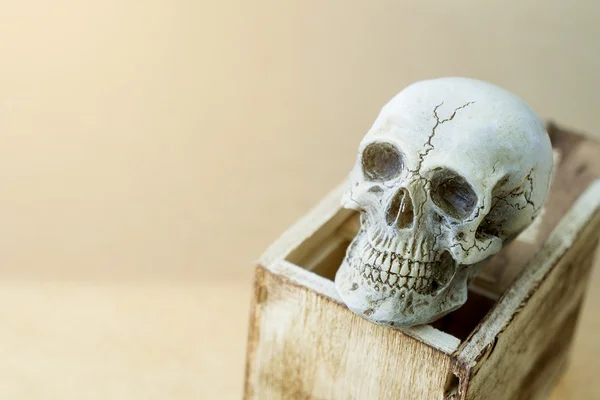 Still life of human skull with wooden box
