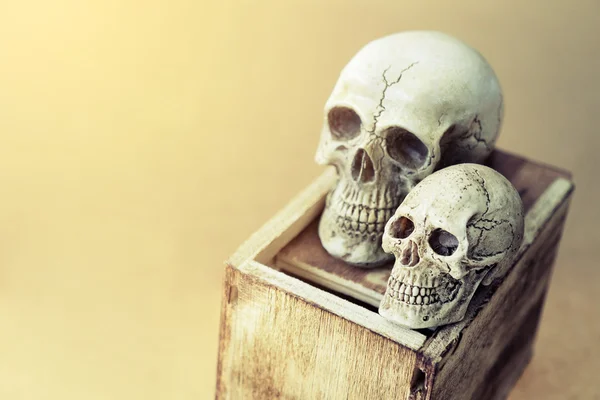 Still life of love human skull couple with wooden box
