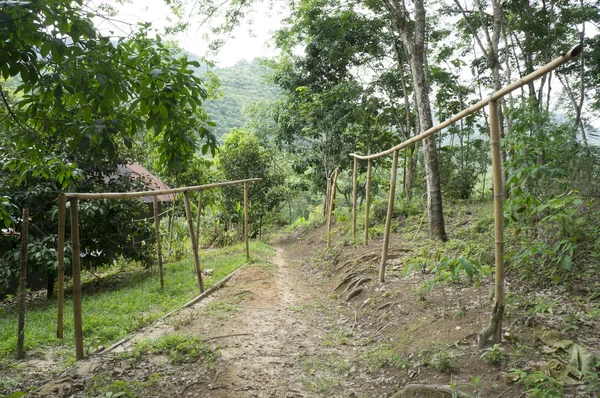 empty bamboo hanger for rubber sheet