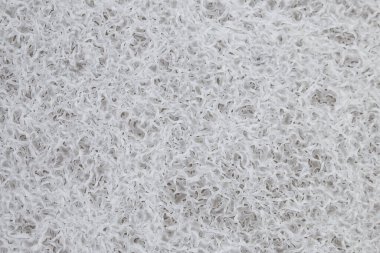 Büyümenin arka planı bir mikroorganizma ağıdır.