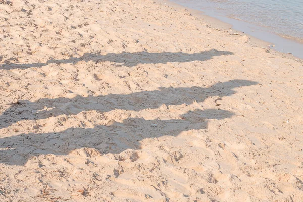 모래가 해변의 관광객의 그림자 — 스톡 사진